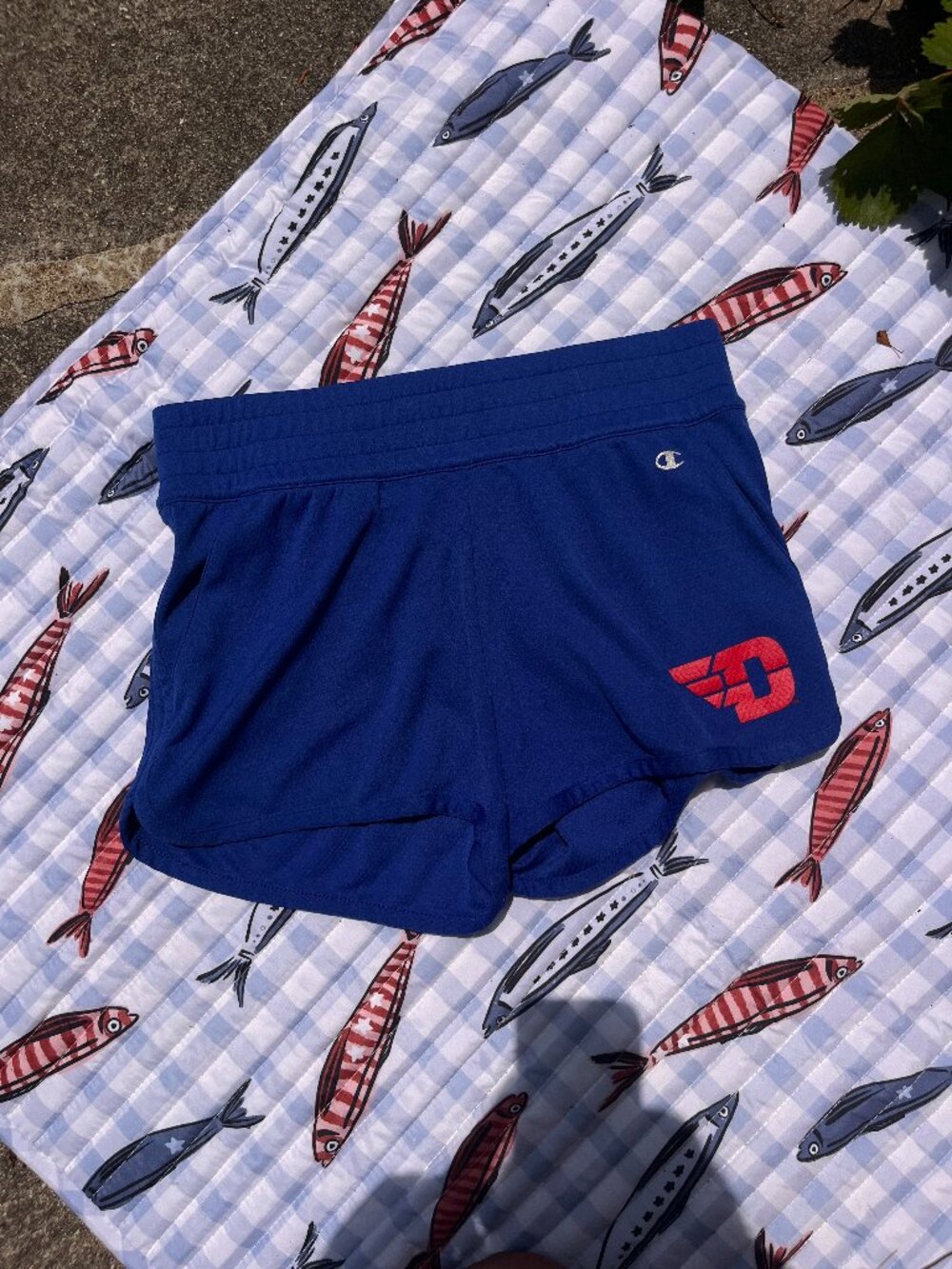 Champion University of Dayton Flyers Shorts